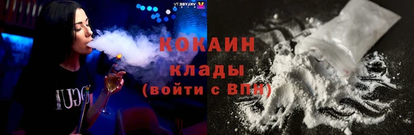 шишки Медвежьегорск