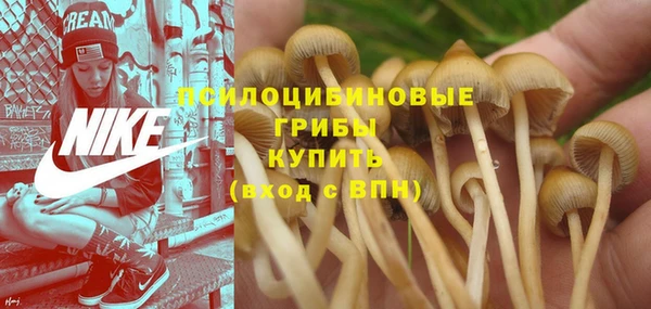 МДПВ Майский